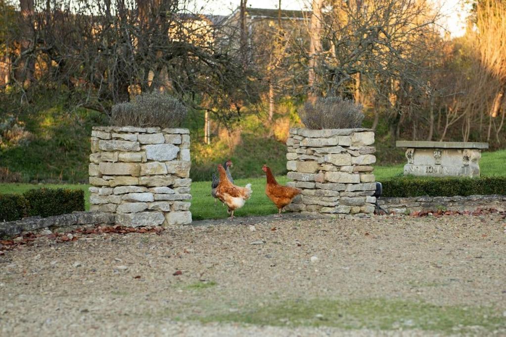 Dove House Cottages - No 1 Oxford Kültér fotó